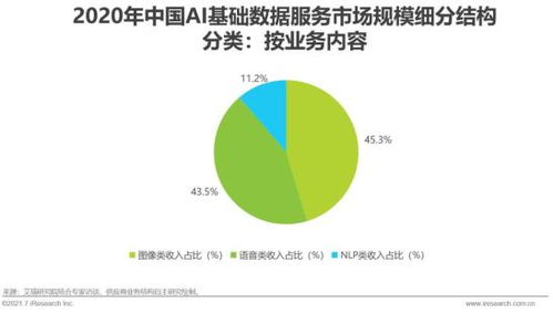 2021年中國人工智能基礎層行業研究報告 基礎軟件開發篇