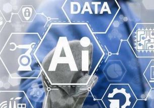 人工智能時(shí)代的隱私危機(jī) 基礎(chǔ)軟件開(kāi)發(fā)的挑戰(zhàn)與應(yīng)對(duì)之道